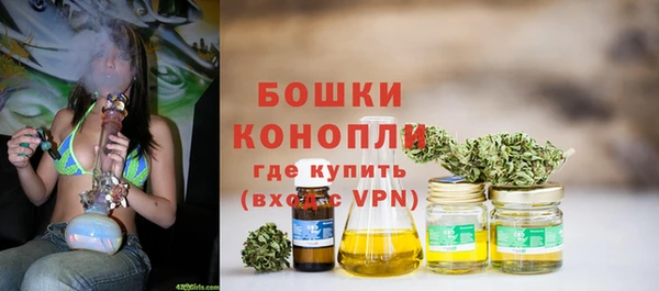 хмурый Инсар