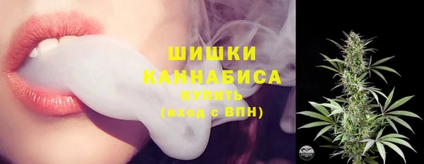 хмурый Инсар